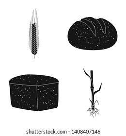 Vector design of rye and plant  symbol. Set of rye and corn vector icon for stock.