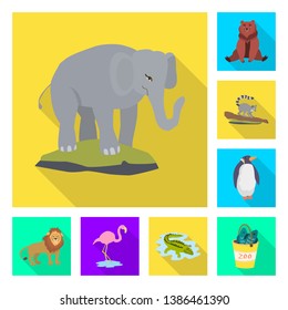 Vector design of safari  and animal icon. Set of safari  and fun  stock vector illustration.