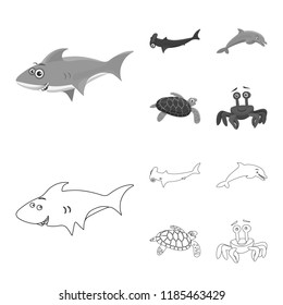 Vector design of sea and animal icon. Set of sea and marine stock vector illustration.