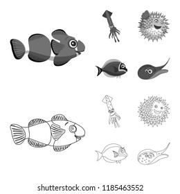 Vector design of sea and animal icon. Set of sea and marine stock vector illustration.