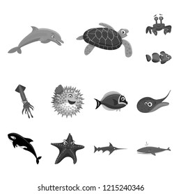 Vector design of sea and animal icon. Collection of sea and marine stock symbol for web.