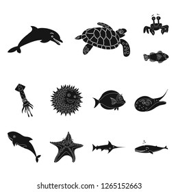 Vector design of sea and animal icon. Set of sea and marine stock vector illustration.