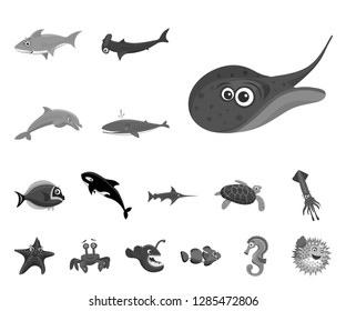 Vector design of sea and animal icon. Collection of sea and marine stock vector illustration.