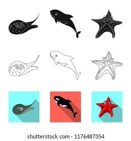 Vector design of sea and animal logo. Collection of sea and marine stock symbol for web.