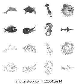 Vector design of sea and animal logo. Set of sea and marine vector icon for stock.
