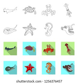 Vector design of sea and animal logo. Set of sea and marine stock symbol for web.
