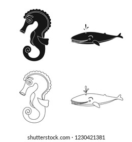 Vector design of sea and animal sign. Set of sea and marine stock vector illustration.