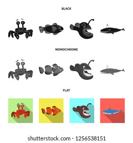 Vector design of sea and animal sign. Collection of sea and marine stock symbol for web.