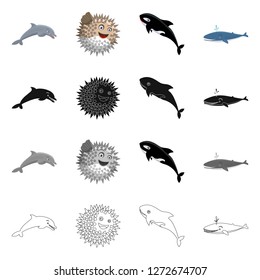 Vector design of sea and animal symbol. Set of sea and marine stock vector illustration.