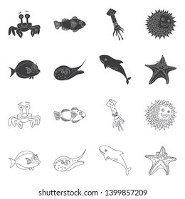 Vector design of sea and animal symbol. Collection of sea and marine stock symbol for web.