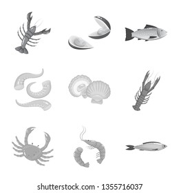 Vector design of seafood and healthy logo. Set of seafood and ocean stock vector illustration.