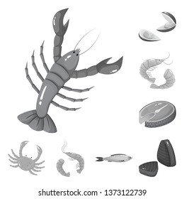 Vector design of seafood and healthy logo. Set of seafood and ocean vector icon for stock.