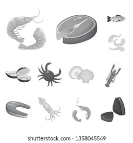 Vector design of seafood and healthy sign. Collection of seafood and ocean vector icon for stock.