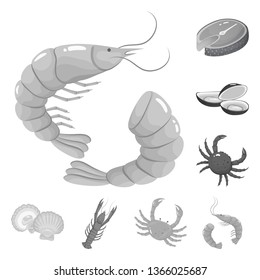Vector design of seafood and healthy symbol. Set of seafood and ocean stock vector illustration.