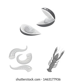 Vector design of seafood and healthy symbol. Collection of seafood and ocean stock vector illustration.