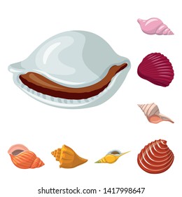 Vector design of seashell and mollusk icon. Collection of seashell and seafood  stock symbol for web.