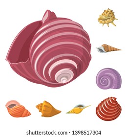 Vector design of seashell and mollusk symbol. Set of seashell and seafood  stock vector illustration.