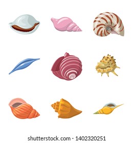 Vector design of seashell and mollusk symbol. Set of seashell and seafood  vector icon for stock.