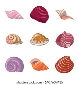 Vector design of seashell and mollusk symbol. Set of seashell and seafood  vector icon for stock.