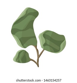 Vector design of seaweed and coral logo. Collection of seaweed and organic stock vector illustration.