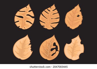 Vector design set of autumn leaves