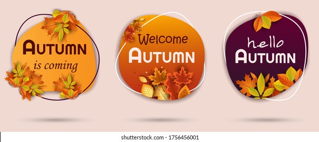 Vector design set of banners for autumn season.  Bright autumn leaves. Collection for seasonal template, flyer, poster, card, label