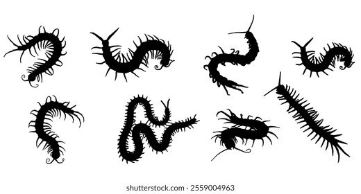 Vector design set of centipede animal silhouettes