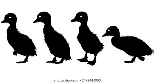 Vector design set of duckling silhouettes
