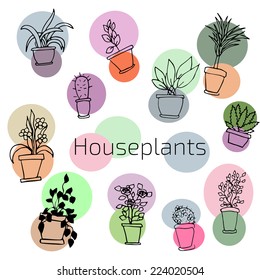 Vector design set of house plants in colorful circles.  Illustration