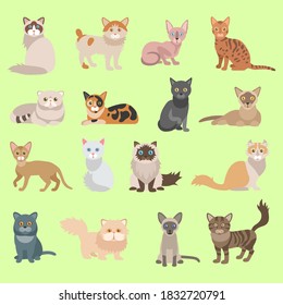 vector design set icon illustration