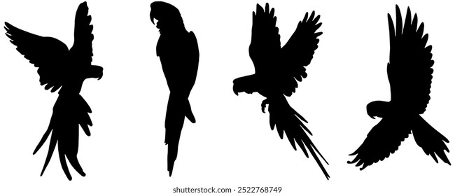 vector design set of parrot silhouettes