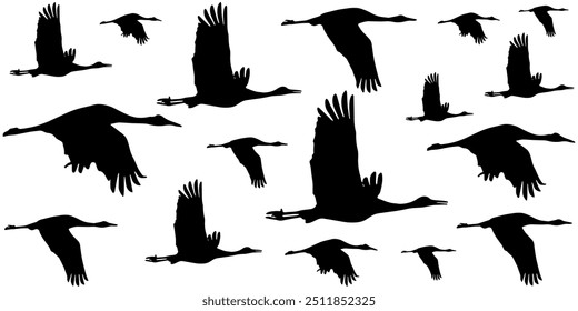 Conjunto de diseño de Vector de siluetas de una bandada de aves de garceta nevada