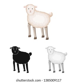 Vector design of sheep and anima icon. Collection of sheep and lamb stock vector illustration.