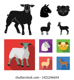 Vector design of sheep and goat icon. Set of sheep and happy  stock vector illustration.