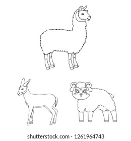 Vector design of sheep and goat logo. Set of sheep and happy  stock vector illustration.