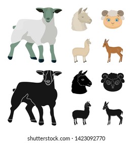 Vector design of sheep and goat logo. Set of sheep and happy  stock vector illustration.