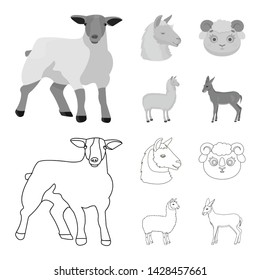 Vector design of sheep and goat logo. Collection of sheep and happy stock symbol for web.