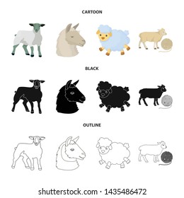 Vector design of sheep and goat logo. Collection of sheep and happy vector icon for stock.