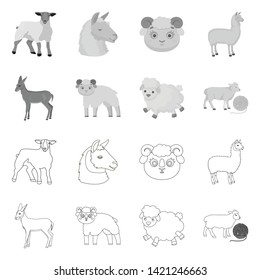 Vector design of sheep and goat sign. Collection of sheep and happy  vector icon for stock.