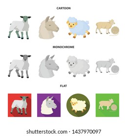 Vector design of sheep and goat sign. Set of sheep and happy stock vector illustration.