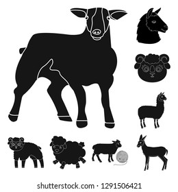 Vector design of sheep and goat symbol. Collection of sheep and happy  vector icon for stock.