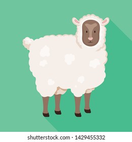 Vector design of sheep and pet sign. Set of sheep and lamb stock symbol for web.