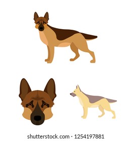 Vector design of  and sheepdog icon. Set of  and german vector icon for stock.