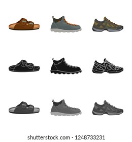 Vector design of shoe and footwear sign. Set of shoe and foot vector icon for stock.