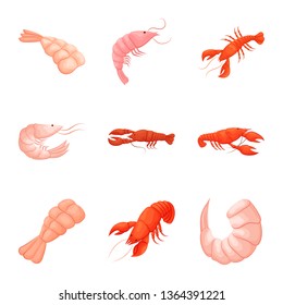 Vector design of shrimp and crab icon. Collection of shrimp and sea vector icon for stock.