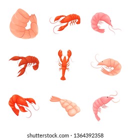 Vector design of shrimp and crab icon. Set of shrimp and sea stock vector illustration.