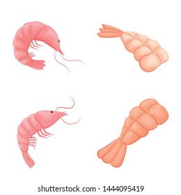 Vector design of shrimp and crab icon. Set of shrimp and sea stock vector illustration.