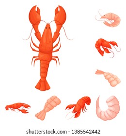Vector design of shrimp and crab logo. Collection of shrimp and sea stock symbol for web.