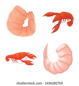 Vector design of shrimp and crab logo. Collection of shrimp and sea vector icon for stock.