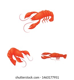 Vector design of shrimp and crab logo. Collection of shrimp and sea vector icon for stock.